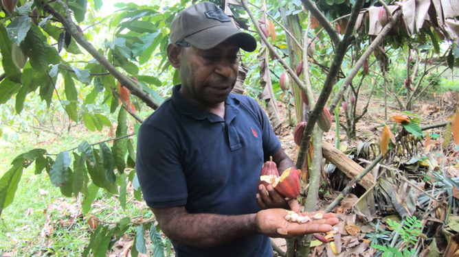 Elijah the Cacao Farmer